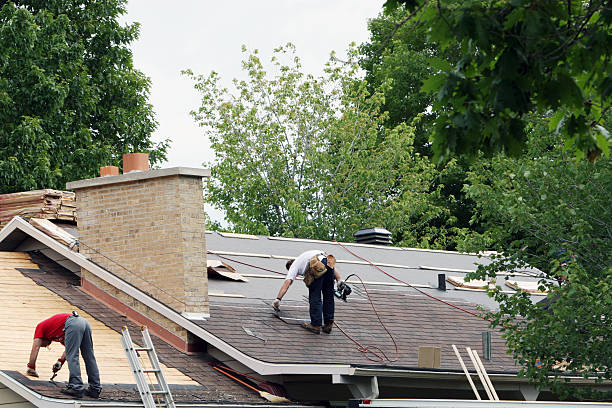 Best Local Roofing Companies  in Woodstock, VA