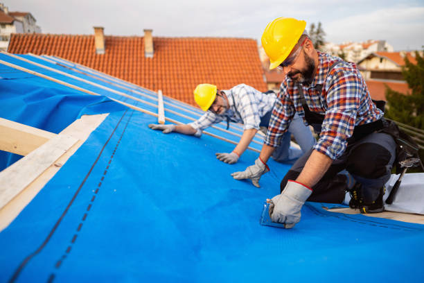 Best Roof Maintenance Services  in Woodstock, VA